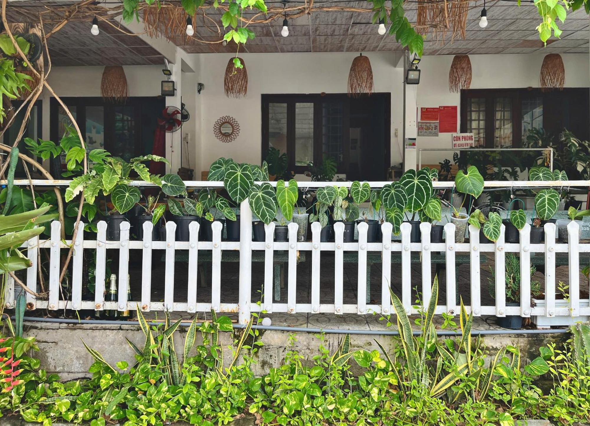 N'T Homestay Mui Ne Bagian luar foto